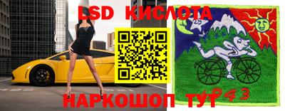 спайс Кунгур