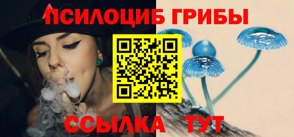 Калуга  Галлюциногенные грибы MAGIC MUSHROOMS  Вход с VPN 